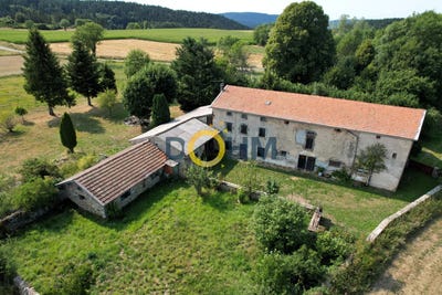 /international/fr/monlet-auvergne-310101247968/