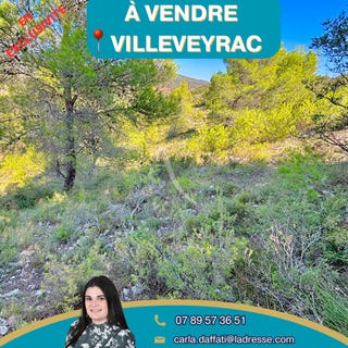 /international/fr/villeveyrac-languedoc-roussillon-310104472407/