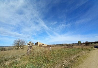 /international/fr/caux-languedoc-roussillon-310107599783/