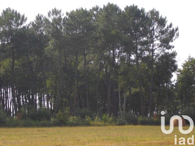 /international/fr/bazas-aquitaine-310100697166/