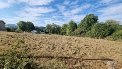 /international/fr/arronnes-auvergne-310101926927/