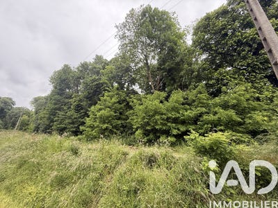 /international/fr/vernou-sur-brenne-centre-val-de-loire-310108240631/
