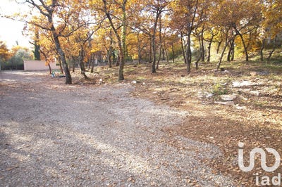 /international/fr/forcalquier-provence-alpes-cote-d-azur-310100007769/