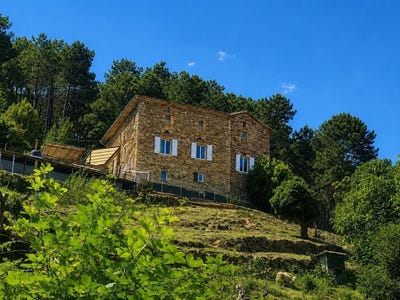 /international/fr/saint-paul-la-coste-languedoc-roussillon-310108972818/