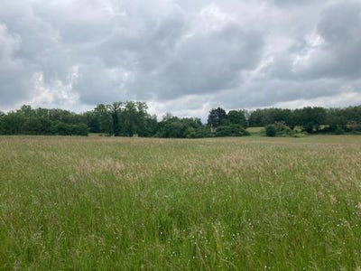 /international/fr/saint-projet-midi-pyrenees-310101383494/