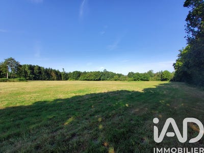 /international/fr/gue-d-hossus-ardennes-310108214018/
