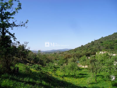 /international/fr/grimaud-provence-alpes-cote-d-azur-310106513327/