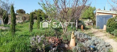 /international/fr/felines-minervois-languedoc-roussillon-310107274812/