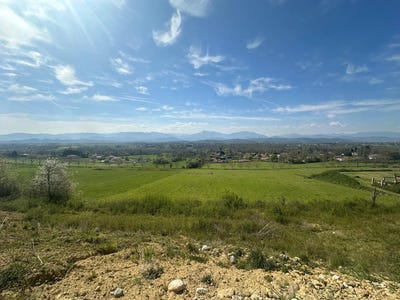 /international/fr/landorthe-midi-pyrenees-310101514190/?lang=pt
