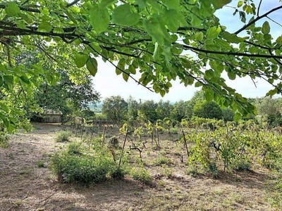 /international/fr/cruviers-lascours-languedoc-roussillon-310110262823/