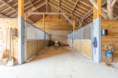 /international/fr/pernay-centre-val-de-loire-310099362347/