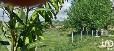 /international/fr/mirambeau-charente-310098969457/?lang=id