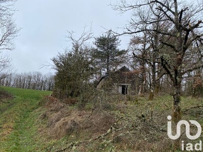 /international/fr/montagnol-rhone-310108042729/