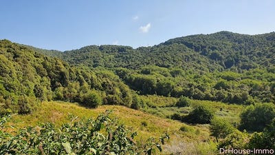 /international/fr/grosseto-prugna-corsica-310101273159/?lang=zh-tw