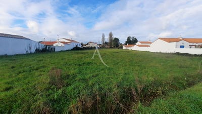 /international/fr/barbatre-pays-de-la-loire-310104467632/