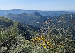 /international/fr/mandailles-saint-julien-auvergne-310098444948/?lang=zh-tw