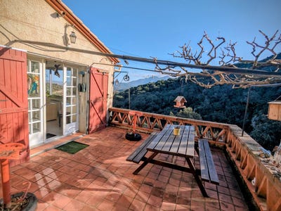 /international/fr/ceret-languedoc-roussillon-310108456079/