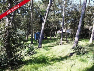 /international/fr/jard-sur-mer-pays-de-la-loire-310099043168/