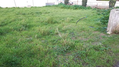 /international/fr/barbatre-pays-de-la-loire-310105080282/