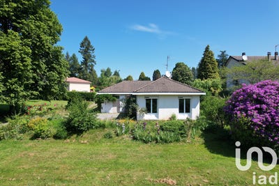 /international/fr/saint-priest-taurion-limousin-310096781919/