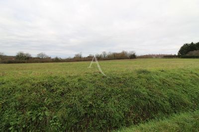 /international/fr/chisseaux-centre-val-de-loire-310105069985/