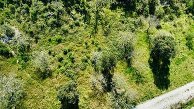/international/fr/grimaud-provence-alpes-cote-d-azur-310107707011/