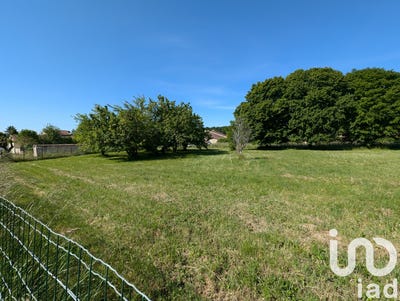 /international/fr/louzac-saint-andre-charente-310105233725/