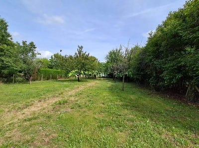 /international/fr/florentin-midi-pyrenees-310102489450/