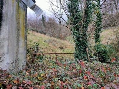 /international/fr/altillac-limousin-310106996313/