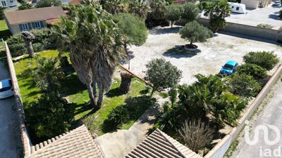 /international/fr/pia-corsica-310098535326/