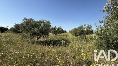 /international/fr/paulhan-languedoc-roussillon-310108420160/