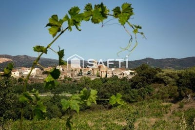 /international/fr/latour-de-france-languedoc-roussillon-310105685789/