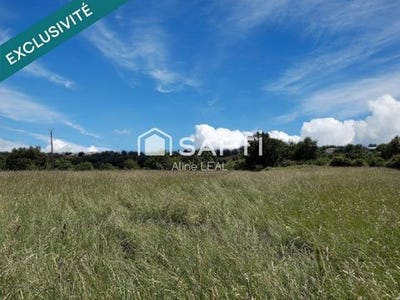 /international/fr/moissac-midi-pyrenees-310108006613/