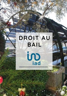 /international/fr/l-isle-sur-la-sorgue-provence-alpes-cote-d-azur-310106041896/