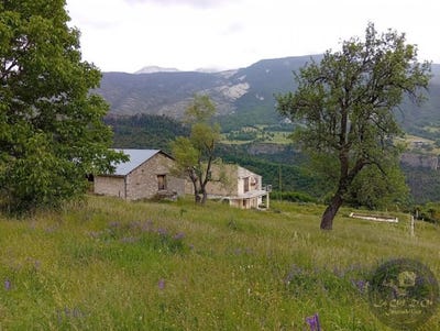 /international/fr/annot-provence-alpes-cote-d-azur-310100793136/