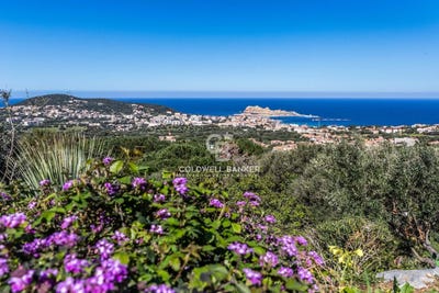/international/fr/monticello-corsica-310108837761/