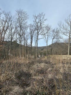 /international/fr/nohanent-auvergne-310105308139/