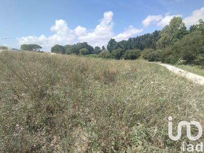/international/fr/vaux-sur-mer-charente-310101160171/
