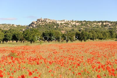 /international/fr/gordes-provence-alpes-cote-d-azur-310100601633/