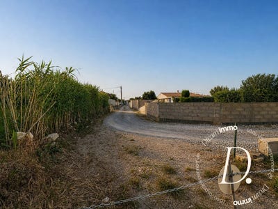 /international/fr/roquefort-des-corbieres-languedoc-roussillon-310107839934/