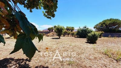 /international/fr/les-sables-d-olonne-pays-de-la-loire-310109237806/
