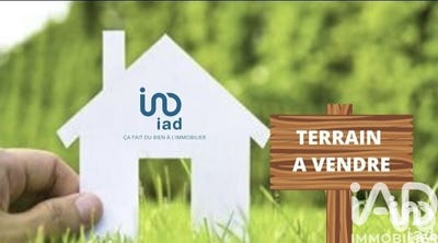 /international/fr/mutzig-alsace-310106858116/