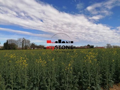 /international/fr/ars-sur-formans-lorraine-310099710820/