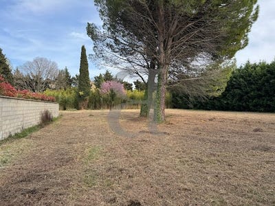 /international/fr/saint-remy-de-provence-provence-alpes-cote-d-azur-310100039117/