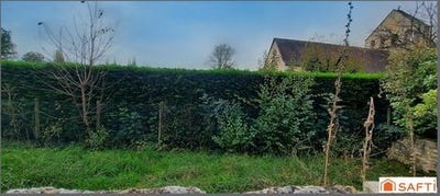 /international/fr/fossemagne-aquitaine-310099657618/?lang=zh-tw