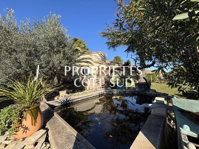 /international/fr/pujaut-languedoc-roussillon-310108651199/
