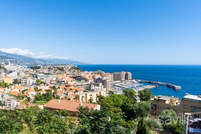 /international/fr/cap-d-ail-provence-alpes-cote-d-azur-310108835641/