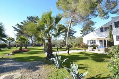 /international/fr/lattes-languedoc-roussillon-310108527036/