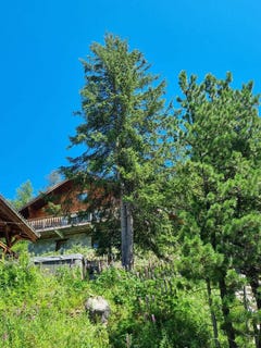 /international/fr/macot-la-plagne-rhone-310101284797/?lang=zh-cn