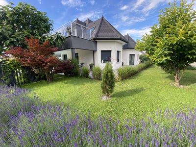 /international/fr/village-neuf-alsace-310107968871/
